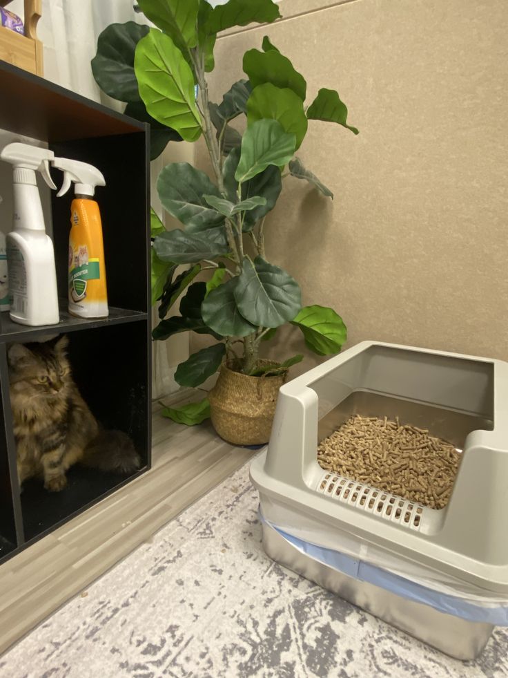 Litter Box Corners
