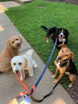Fragrance-Free, Made For Pet Homes