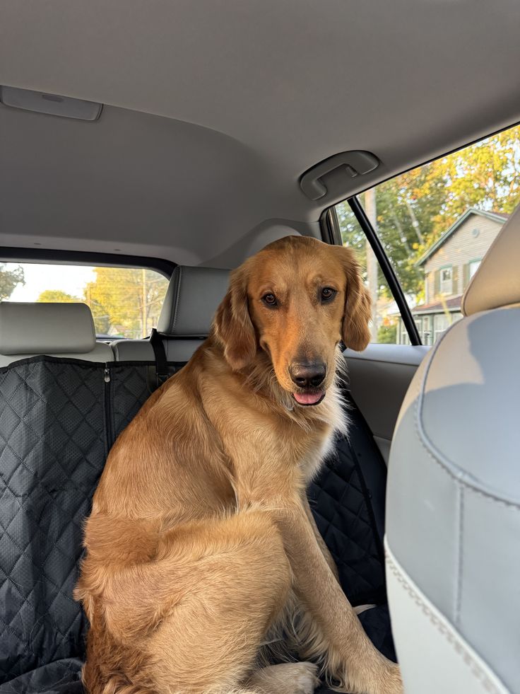 Car Seats