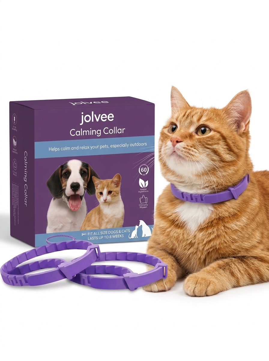 Orange tabby cat wearing the jolvee purple calming collar next to the box