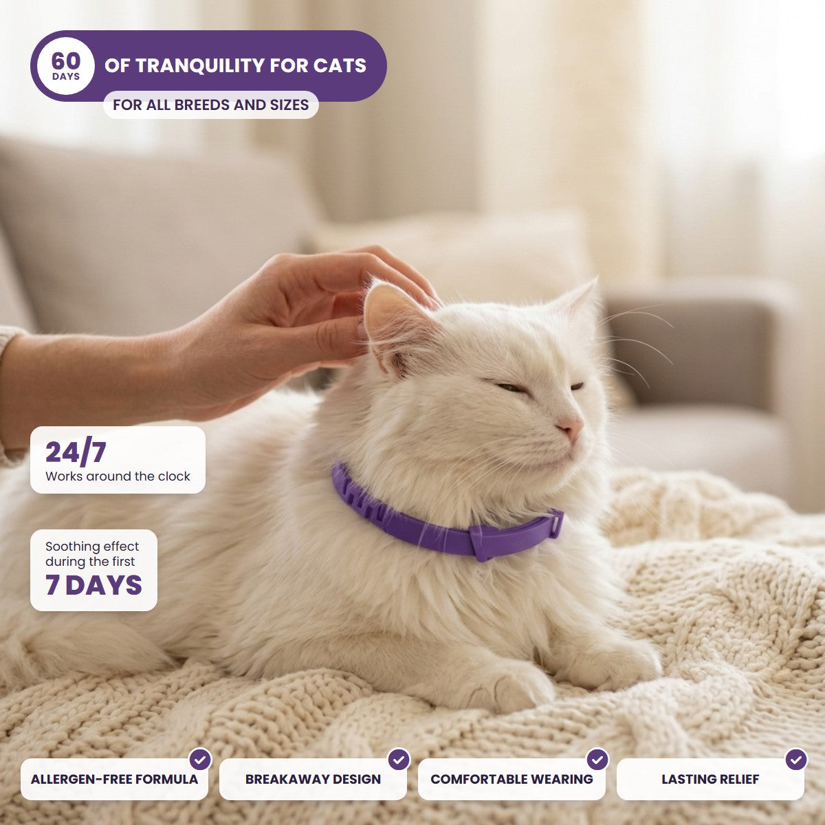 60 days of tranquility for cats