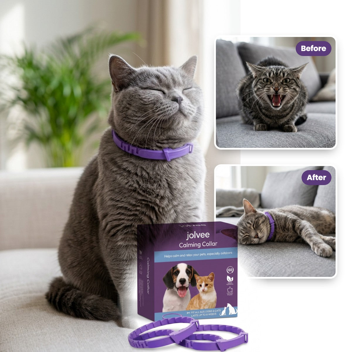 Before and after the jolvee calming collar