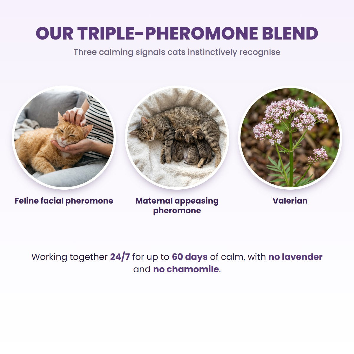 The science behind the calm: our triple-pheromone blend