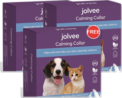 Buy 2, Get 1 Free