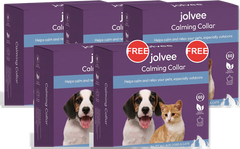 Buy 3, Get 2 Free